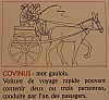 schema covinus.jpg